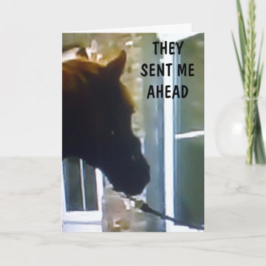 GANG HEEFT ME GEZEGD OM TE ZEGGEN DAT ZIJ BIRTHDAY KAART (Voorkant)