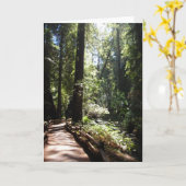 Gang met me kaart (Gele Bloem)