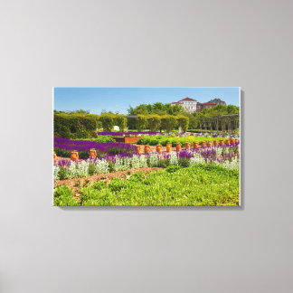 gang met paarse saliebloemen en stachys lanata canvas afdruk