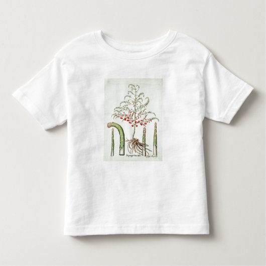 Gangbare asperges in bloemen en vruchten, van de " kinder shirts (Voorkant)