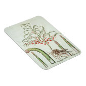 Gangbare asperges in bloemen en vruchten, van de " magneet (Rechterzijde)