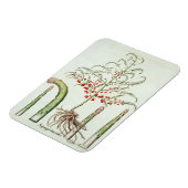 Gangbare asperges in bloemen en vruchten, van de " magneet (Linkerzijde)