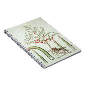 Gangbare asperges in bloemen en vruchten, van de " notitieboek (Rechterzijde)