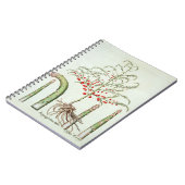 Gangbare asperges in bloemen en vruchten, van de " notitieboek (Linkerzijde)