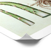 Gangbare asperges in bloemen en vruchten, van de " poster (Hoek)