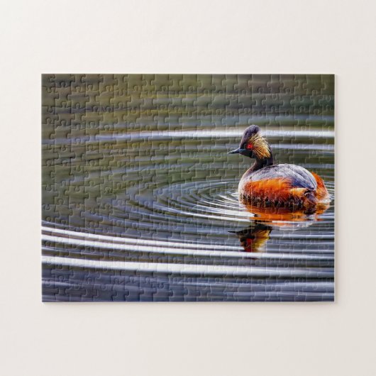 Gangde Grebe Duck Wyoming. Legpuzzel (Horizontaal)