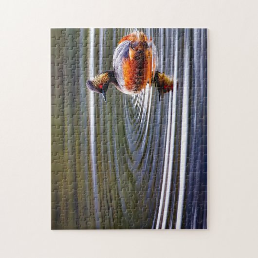 Gangde Grebe Duck Wyoming. Legpuzzel (Verticaal)