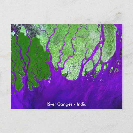 Ganges River Delta Satellite Afbeelding - India Briefkaart (Voorkant)