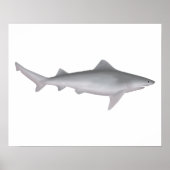 Ganges Shark Poster (Voorkant)