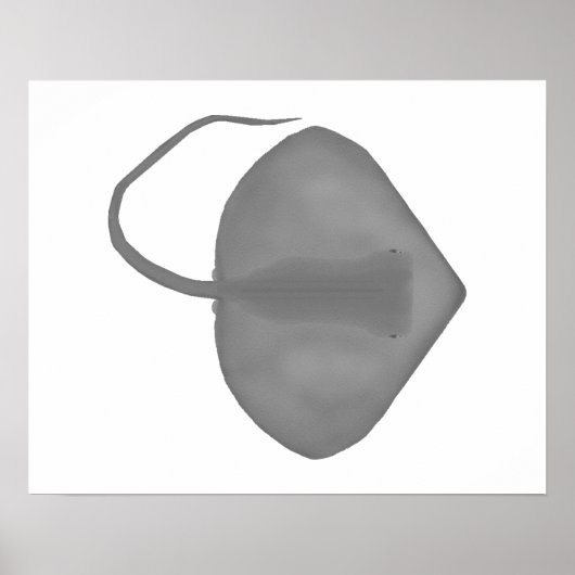 Ganges Stingray Poster (Voorkant)