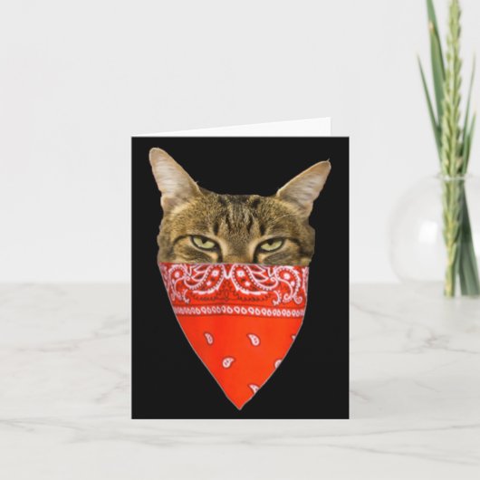 Gangsta Cat Shirt Funny Red Band Kitty Cat For Men Kaart (Voorkant)