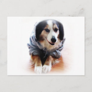 Gangsta Dog Wearing Hoodie Briefkaart