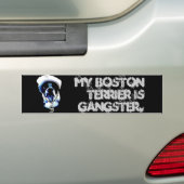 Gangster Boston Terrier Bumpersticker (Op auto)