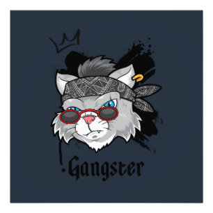 Gangster Cat Street Portret Foto Afdruk