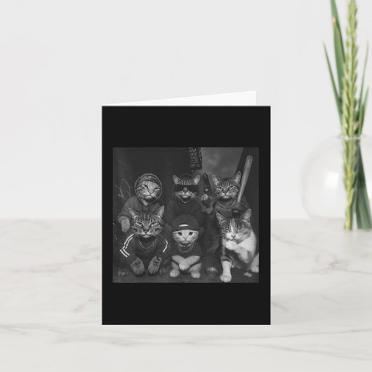 Gangster Cats  Funny Kat Gang Meme Kaart (Voorkant)