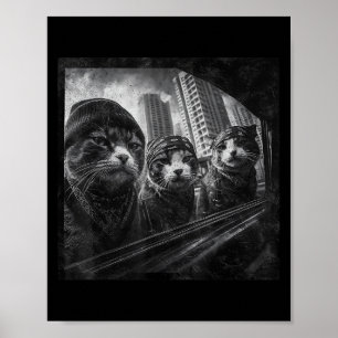 Gangster Cats Street Grappige Grafische Humor Poster