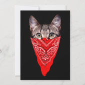 Gangster kattenkat kaart (Achterkant)