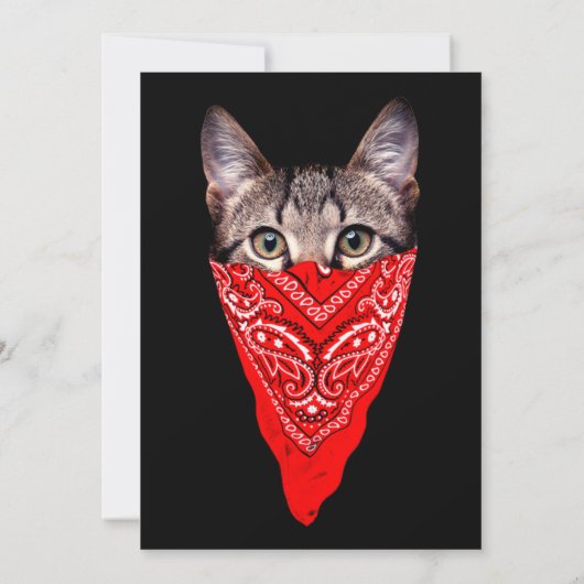 Gangster kattenkat kaart (Achterkant)