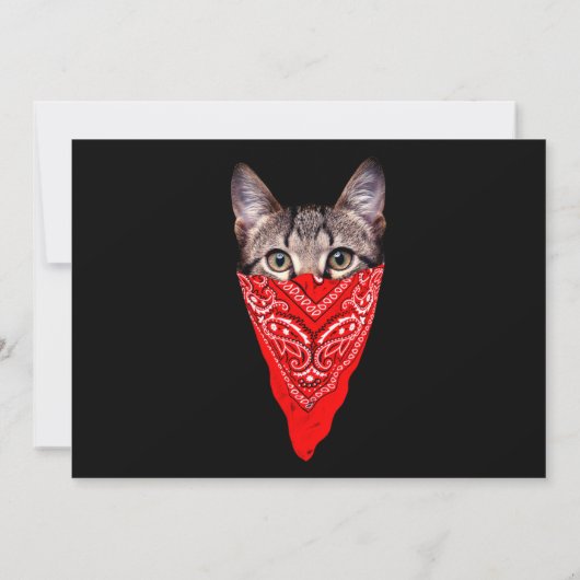 Gangster kattenkat kaart (Achterkant)