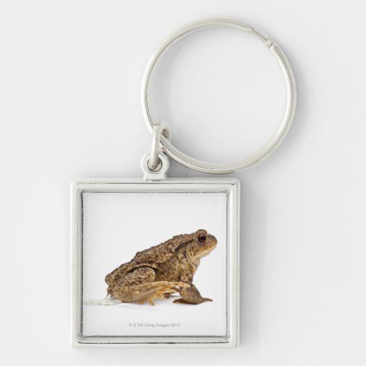 Gangweg of Europese weg (Bufo bufo) pisssen Sleutelhanger (Voorkant)