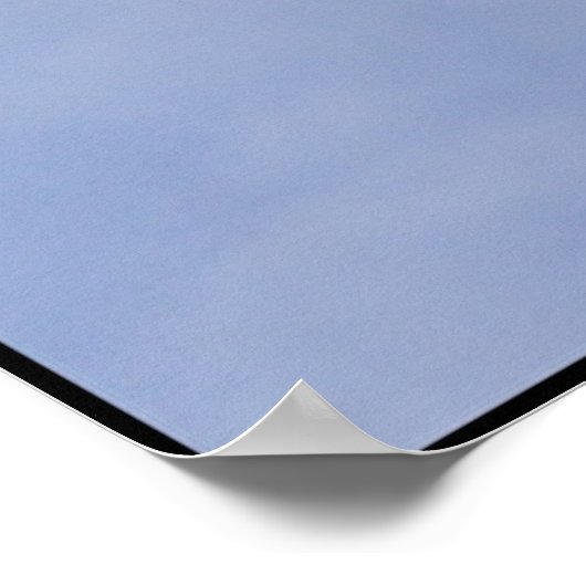 Gannet Poster (Hoek)