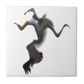 Gannets-Abstract Zee Bird Tegeltje (Voorkant)