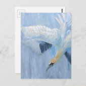 Gannets diving unique gifts for you briefkaart (Voorkant / Achterkant)