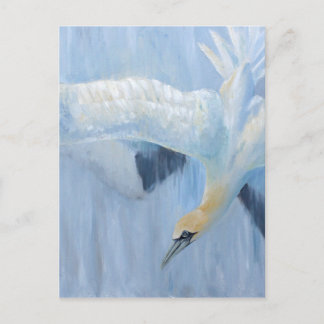 Gannets diving unique gifts for you briefkaart