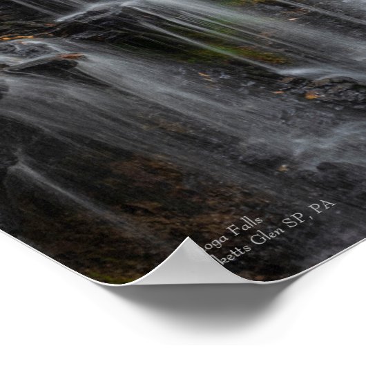 Ganoga-Herfsten 11 x 14 inch Poster (Hoek)