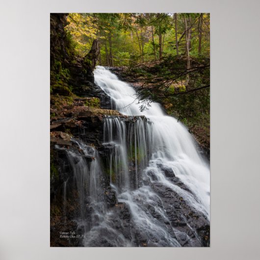 Ganoga-Herfsten 13 x 19 inch Poster (Voorkant)