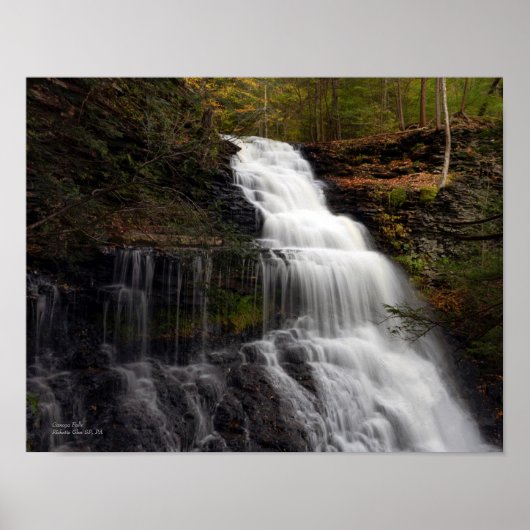 Ganoga-Herfsten 14 x 11 inch Poster (Voorkant)
