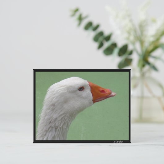 gans1 briefkaart (Staand voorkant)