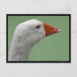 gans1 briefkaart