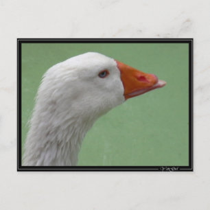 gans1 briefkaart