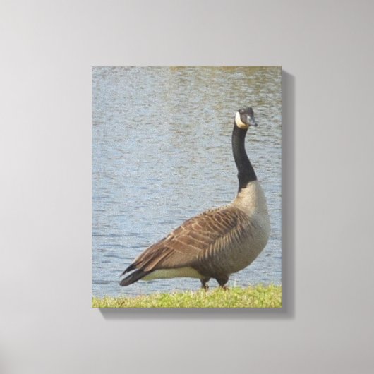 Gans door vijver Canvas Art Afdruk (Voorkant)