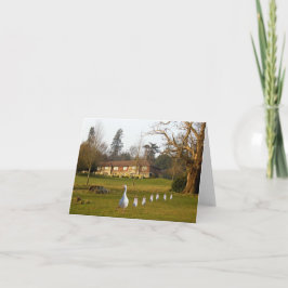 Gans en Goslings dagje uit Kaart