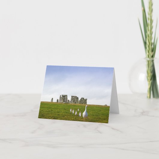 Gans en Goslings dagje uit Kaart (Voorkant)