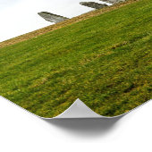 Gans en Goslings dagje uit Poster (Hoek)