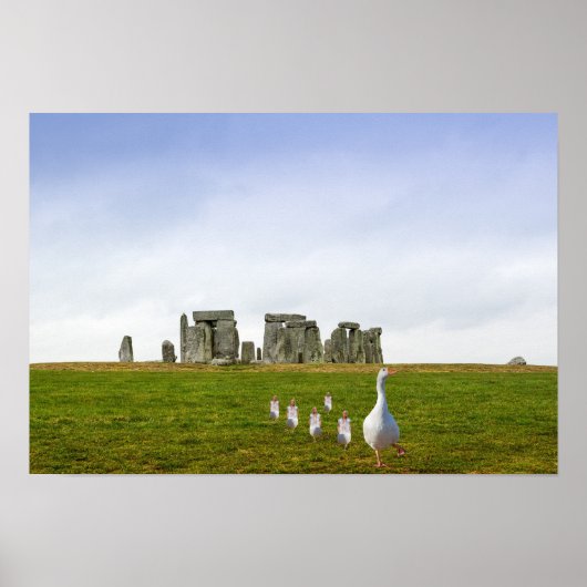 Gans en Goslings dagje uit Poster (Voorkant)