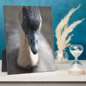 Gans Fotoplaat (Zijkant)