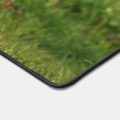 Gans Gosling Ganzen Natuur Outdoor Foto Bureaumat (Hoek)