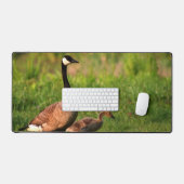 Gans Gosling Ganzen Natuur Outdoor Foto Bureaumat (Keyboard & Muis)