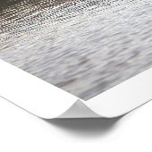 Gans in het water Poster (Hoek)