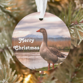  gans landschapsfoto ornament