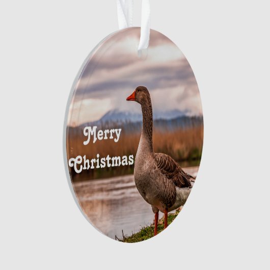  gans landschapsfoto ornament (voorkant)
