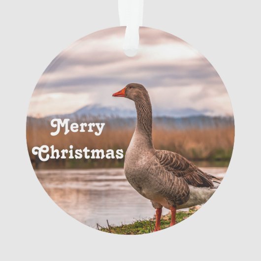  gans landschapsfoto ornament (achterkant)