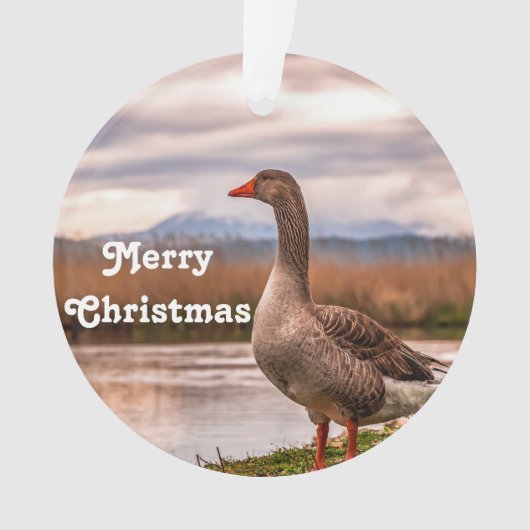  gans landschapsfoto ornament (voorkant)