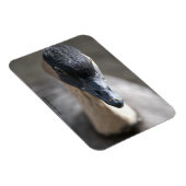 Gans Magneet (Rechterzijde)