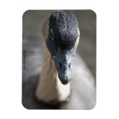 Gans Magneet (Verticaal)
