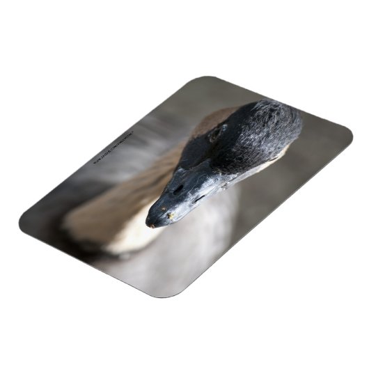 Gans Magneet (Linkerzijde)